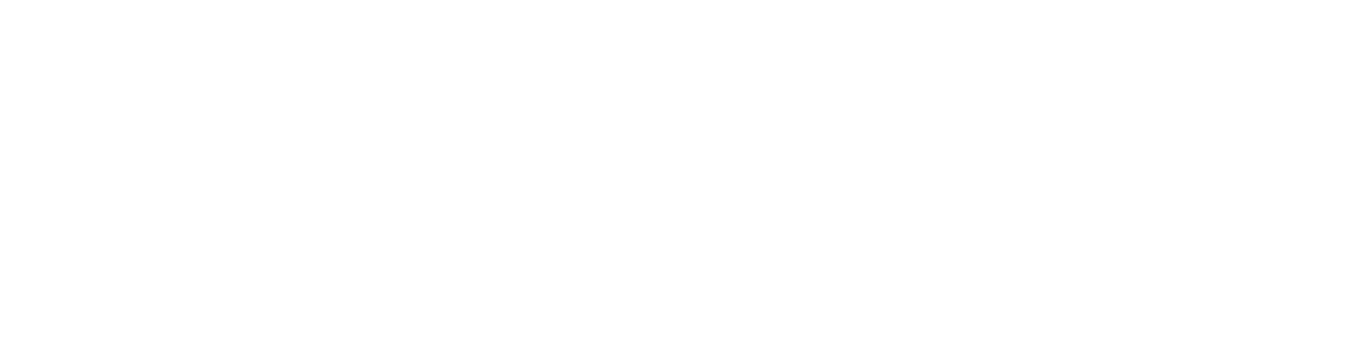 WCH Agency